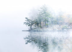 Wall mural Autumn fog – fototapet med unikt motiv som skapar en inspirerande fondvägg