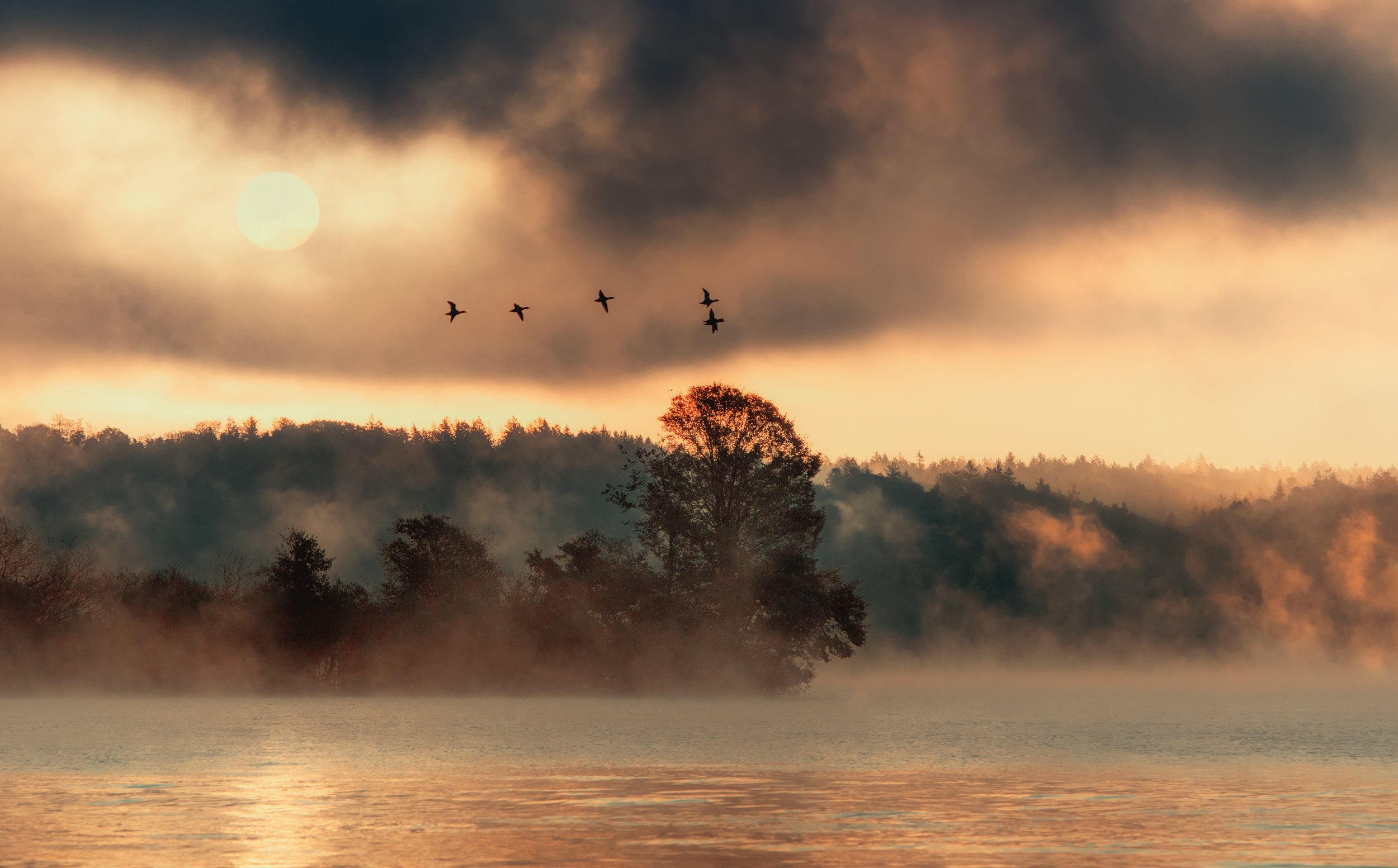 In the morning at the lake