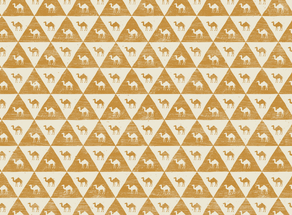 Egyptologi