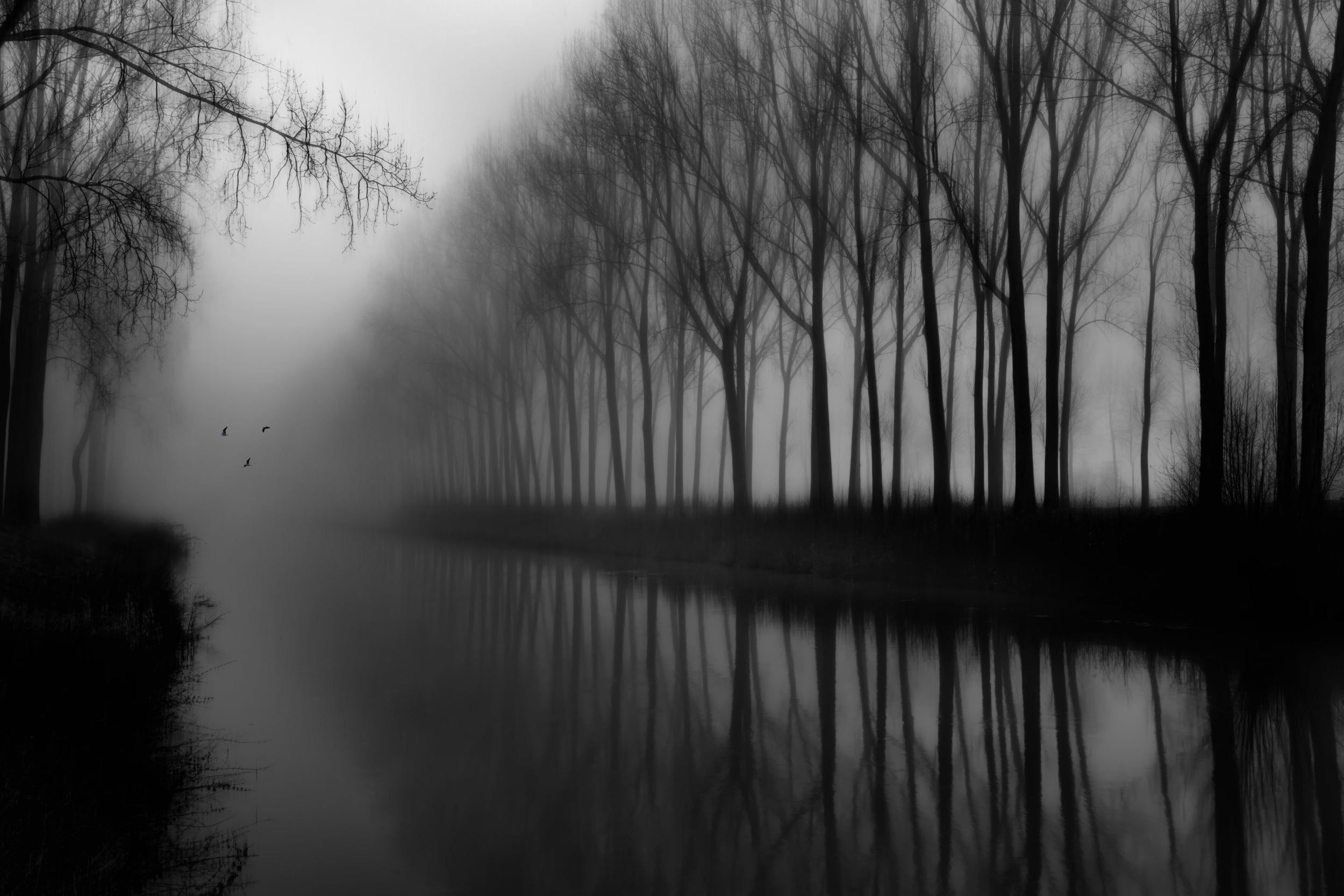 Wonderful canal