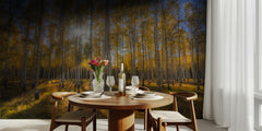 Autumn Sunlit Birch Forest