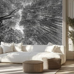 Tall Bamboo Canopy