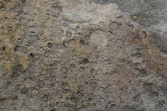 Wall mural Tex Surface S27 – fototapet med unikt motiv som skapar en inspirerande fondvägg