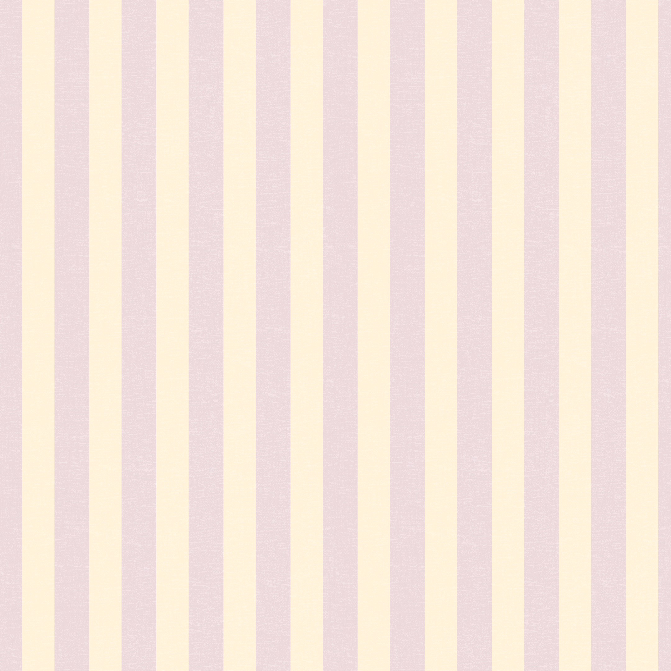 Umbrella Stripe - Pearl