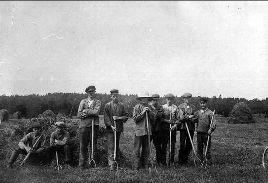 Hay harvest 1930