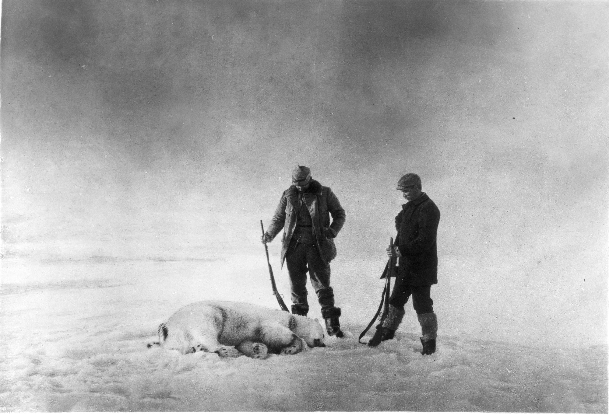 André expedition - two men and one polar bear