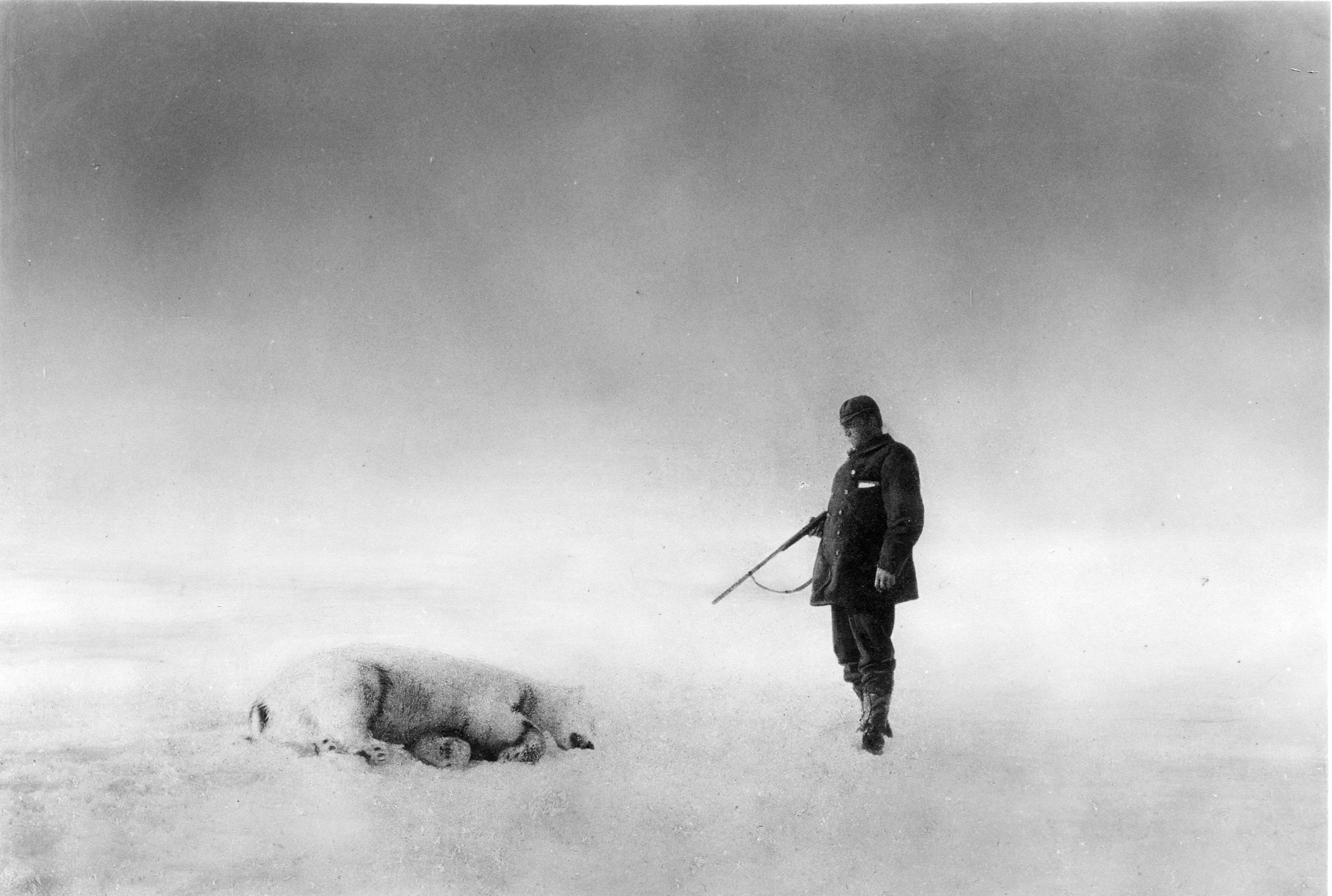 Andréexpeditionen - en man och en Isbjörn - Historisk polarexpedition fototapet