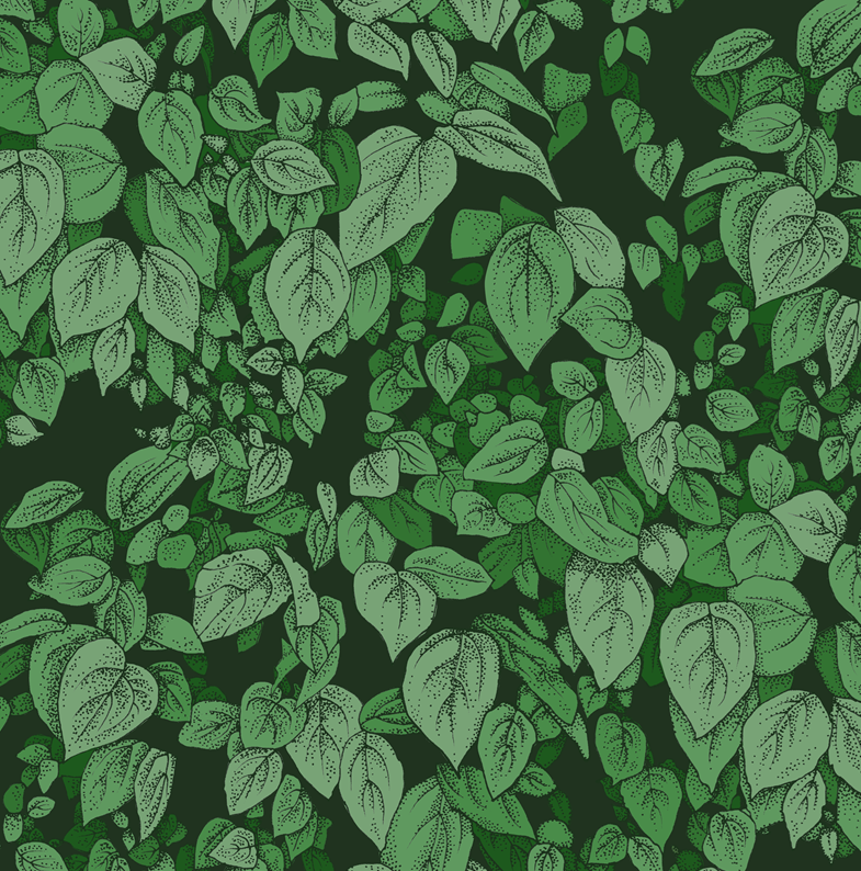 Schersmin - Grön - Klassisk tapet med djup färg och lantlig charm