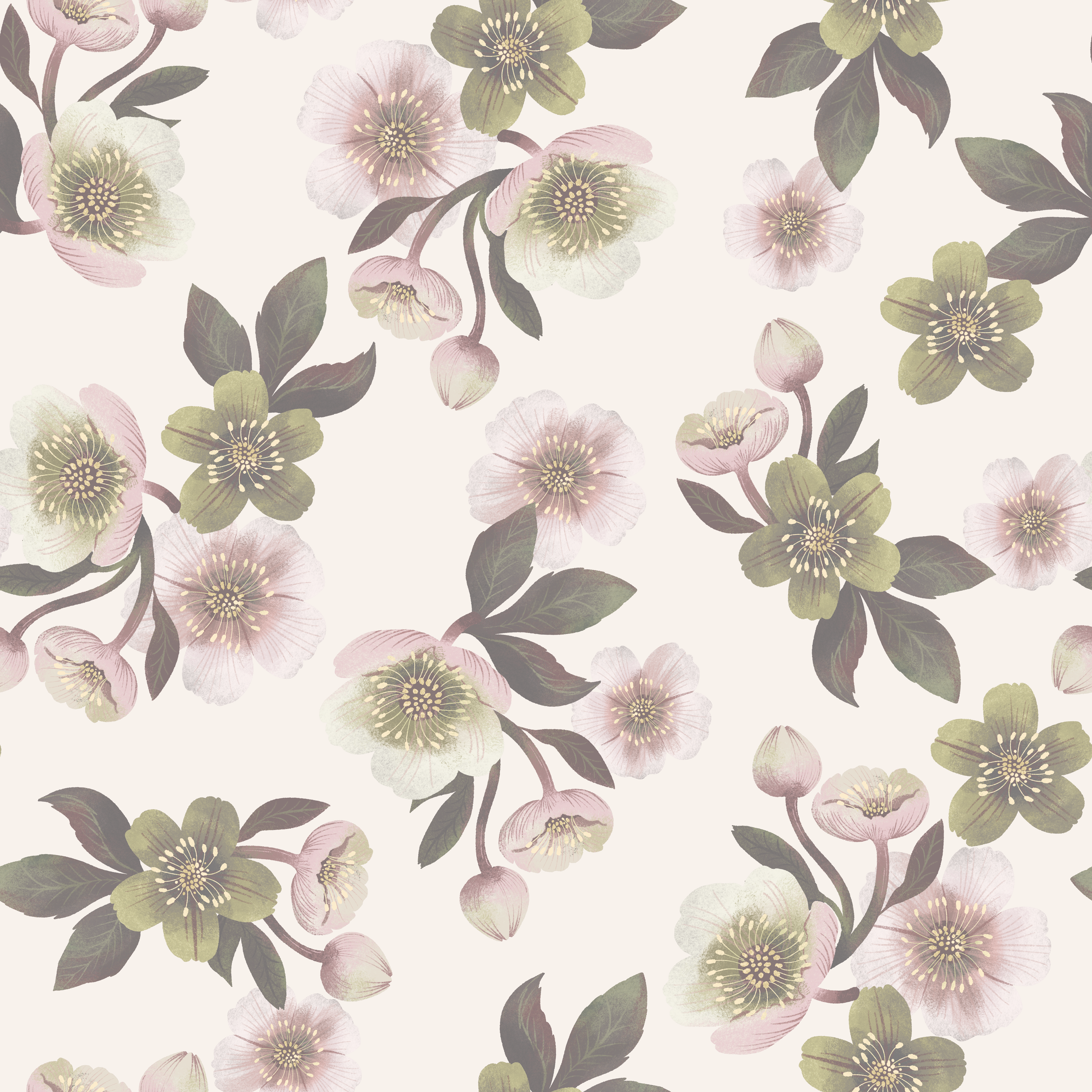 Hellebores - OffVit - Tapet med julrosor i tidlös elegans