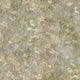 Endless summer - Early dawn – Beige blommig tapet