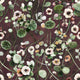Cress - Vine - Hand-painted wallpaper with vibrant flowers in red tones