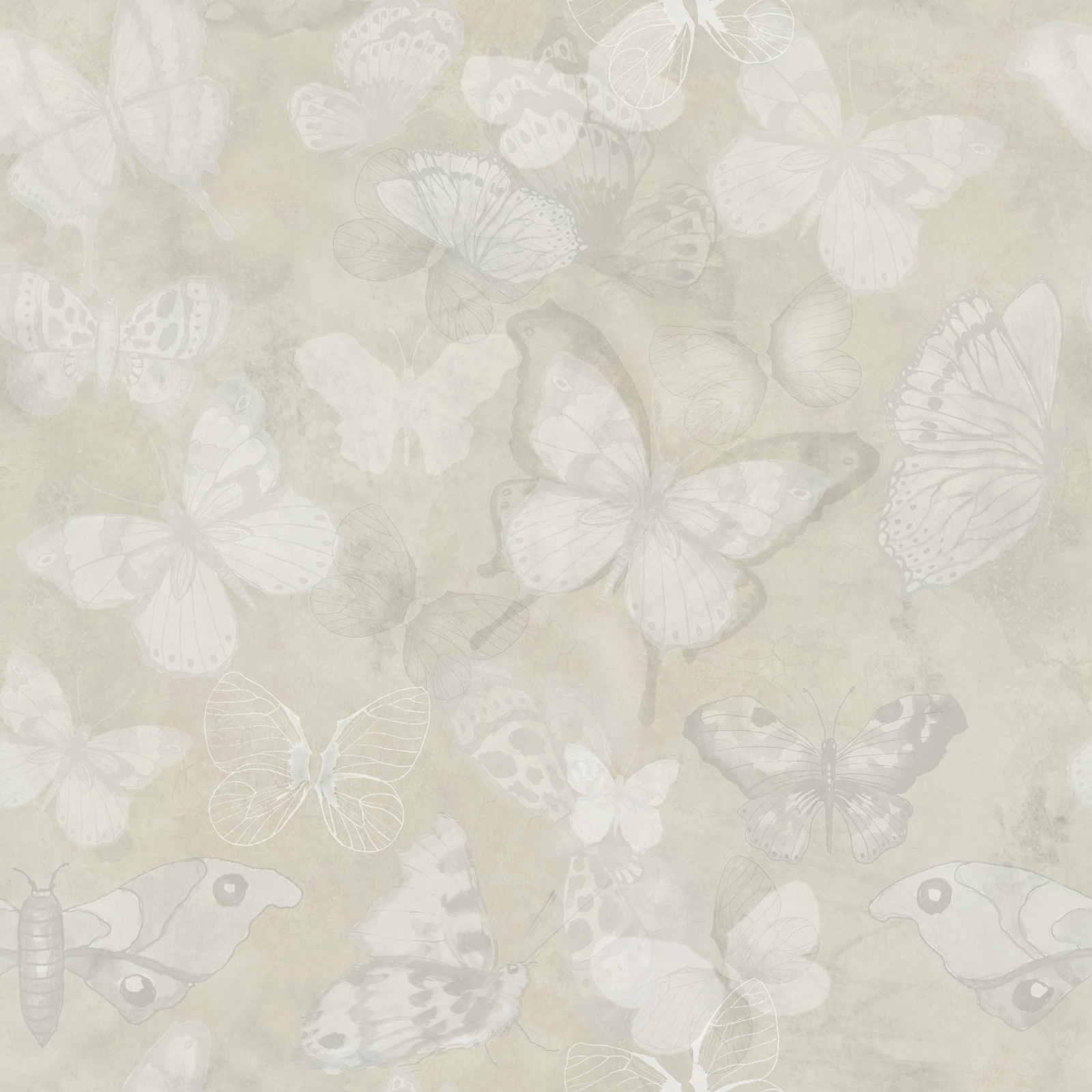 Mariposa - Unbleached - Fjärilstapet i akvarell med melerad bakgrund
