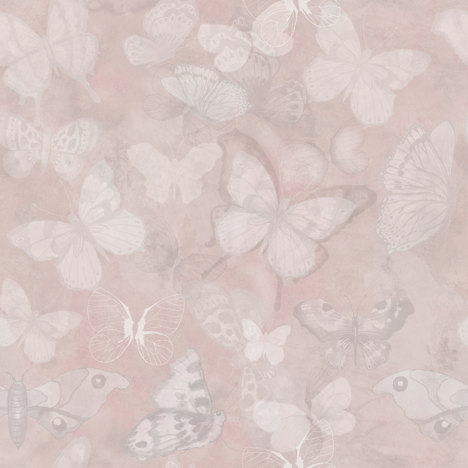 Mariposa - Rose - Fjärilstapet i akvarell med melerad bakgrund