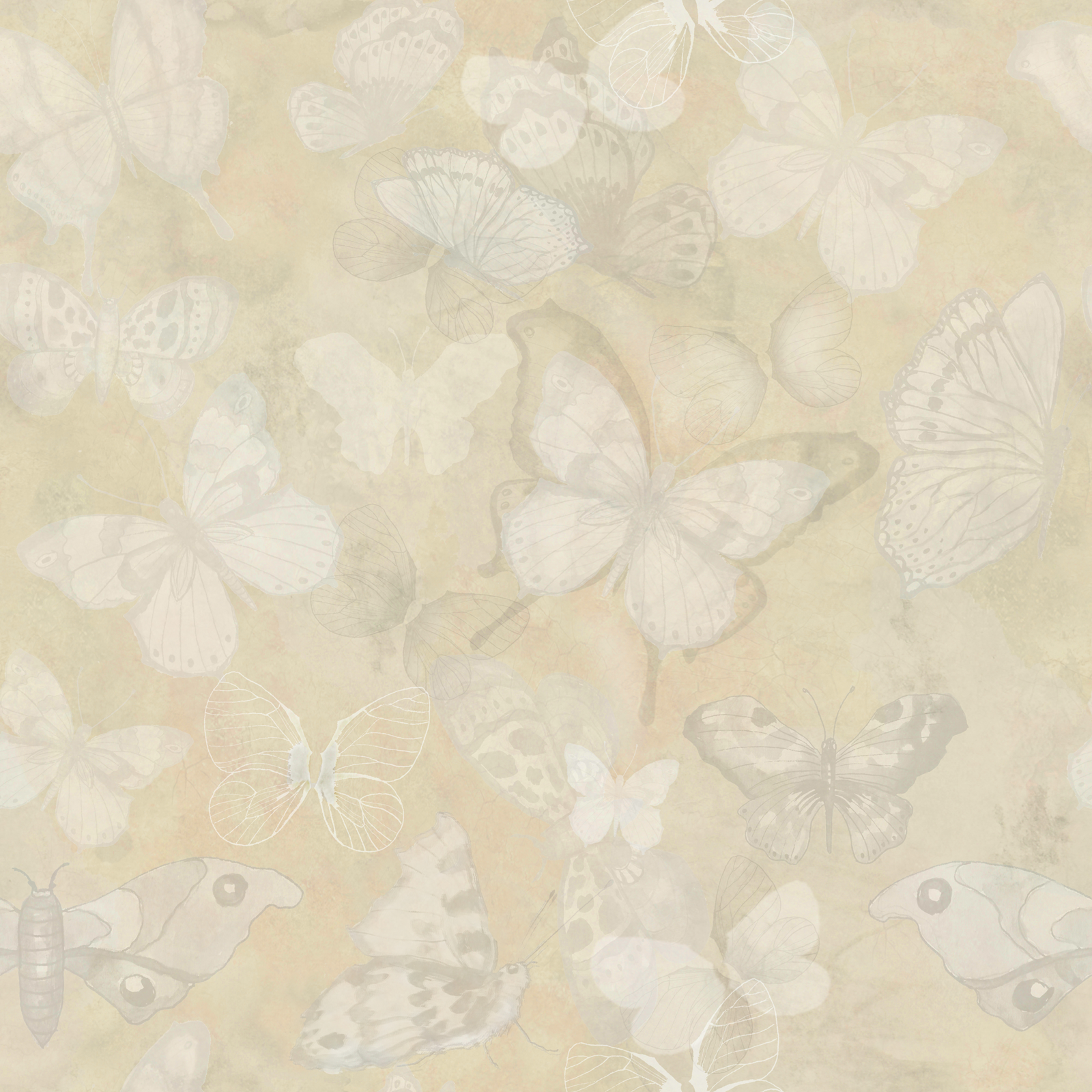 Mariposa - Wheat - Fjärilstapet i akvarell