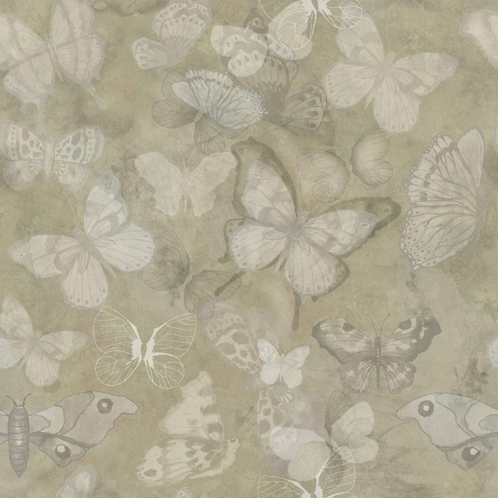 Mariposa - Khaki - Fjärilstapet i akvarell med melerad bakgrund
