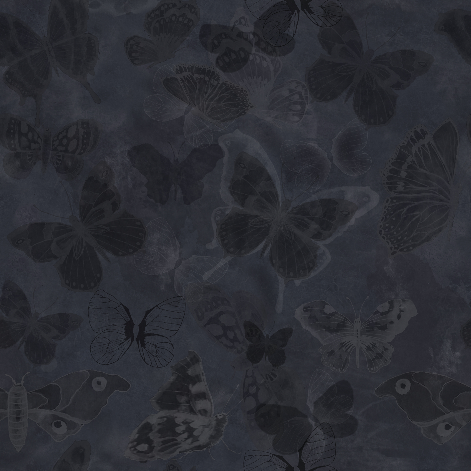 Mariposa - Charcoal - tapet med fjärilar mot mörk bakgrund