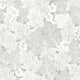 Akantusblomma - Dag