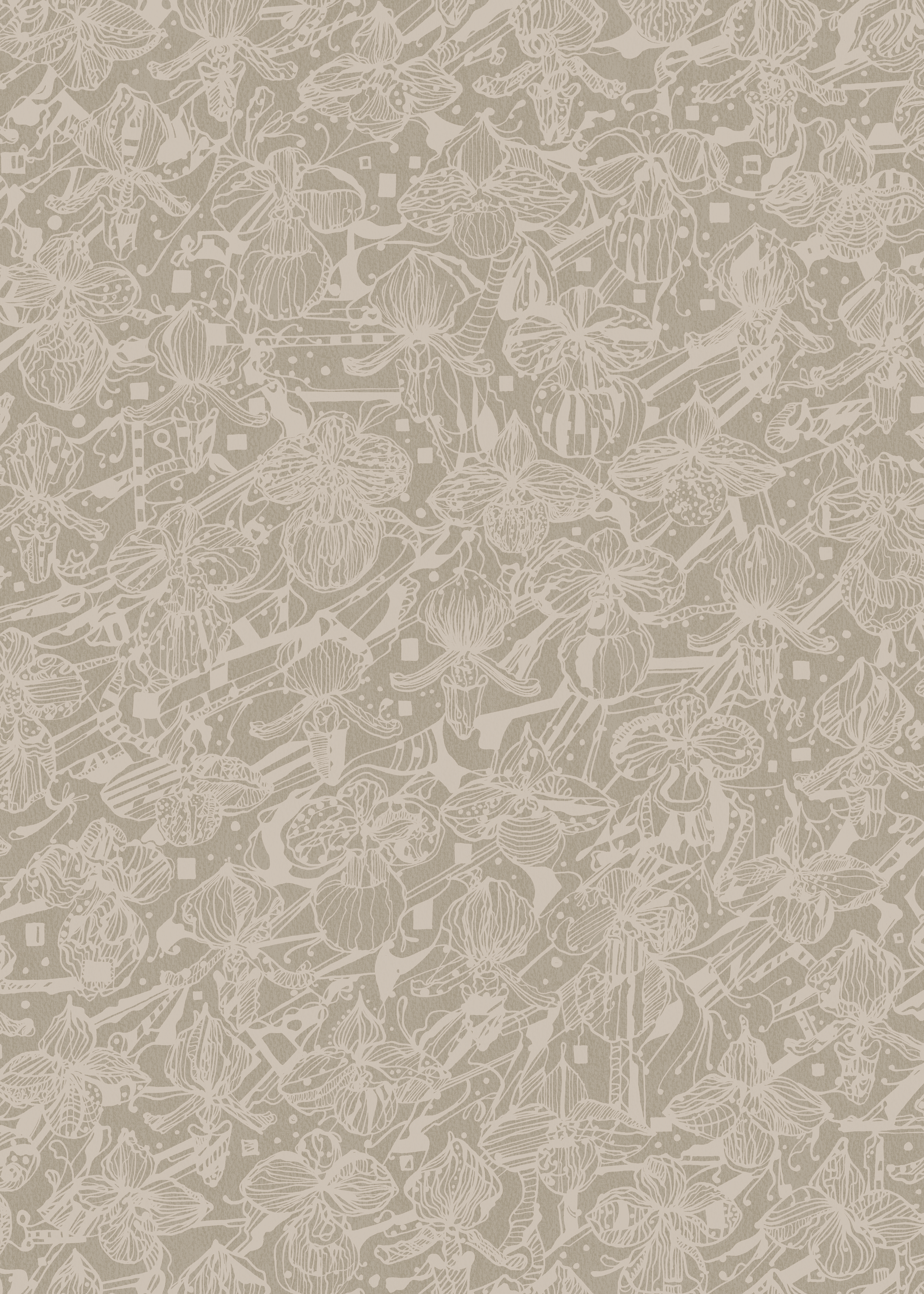 Orkidéblomster - Vitbeige - Koltecknad orkidétapet i beige