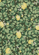 Lemongarden - Green - Lemon-patterned wallpaper in green hues