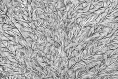 Wall mural Into the Pampas – fototapet med unikt motiv som skapar en inspirerande fondvägg