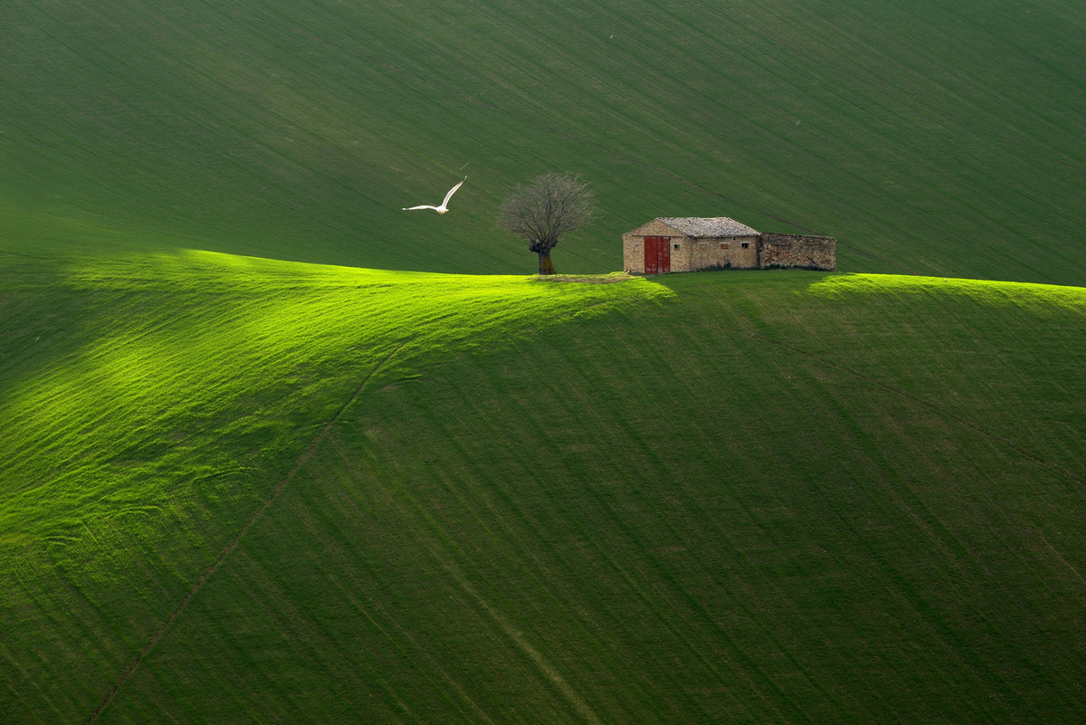Harmoni