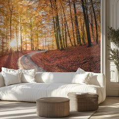 Golden Autumn Forest Road