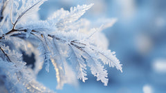 Wall mural Winter Impressions No 6 – fototapet med unikt motiv som skapar en inspirerande fondvägg