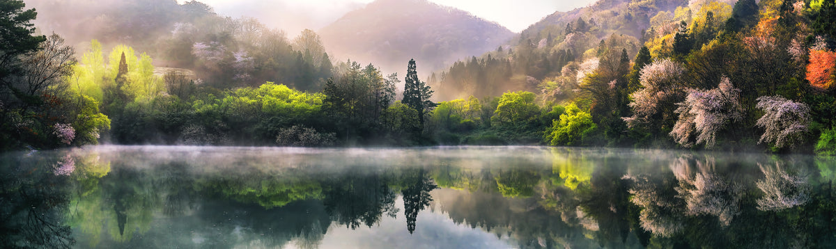 Misty Spring Lake Reflection