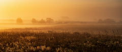 Wall mural MorningMood – fototapet med unikt motiv som skapar en inspirerande fondvägg