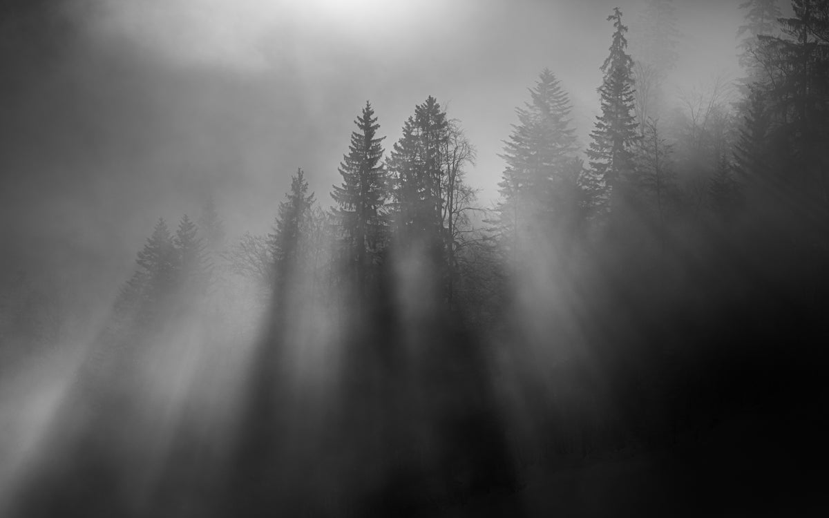 vintersol