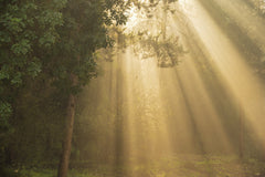 Wall mural ray of light – fototapet med unikt motiv som skapar en inspirerande fondvägg
