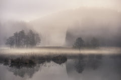 Wall mural Mystic morning II – fototapet med unikt motiv som skapar en inspirerande fondvägg