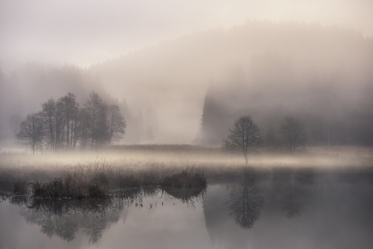 Mystic Morning II