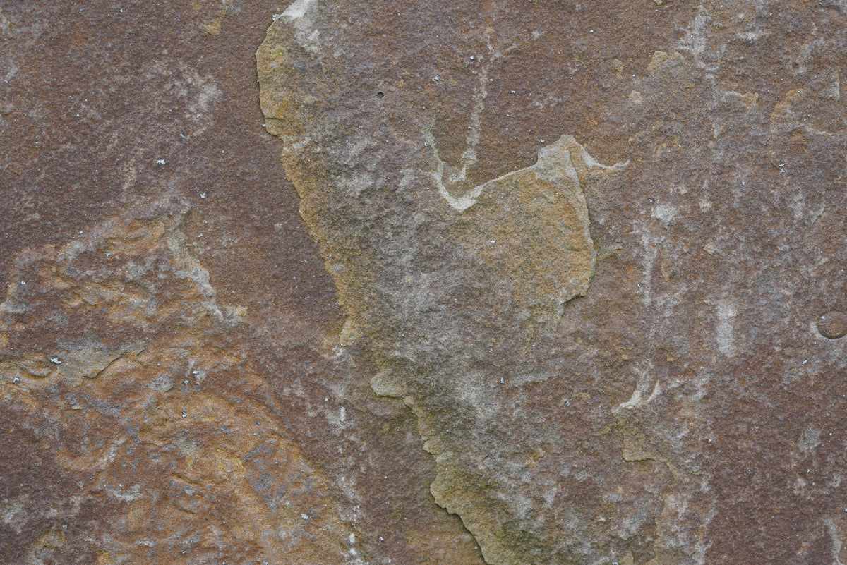 Tex Surface S18