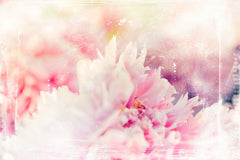 Wall mural Ombre32flower – fototapet med unikt motiv som skapar en inspirerande fondvägg
