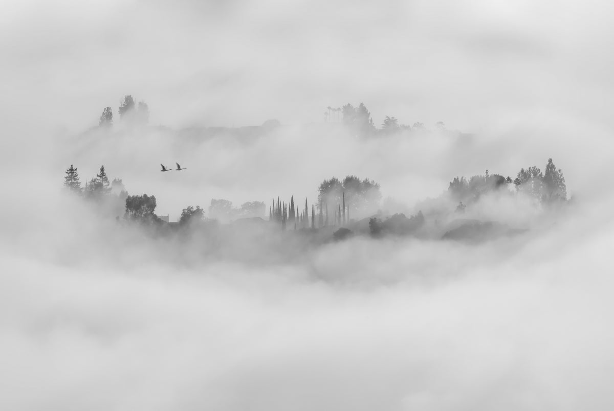 Tåkete morgen i Los Angeles