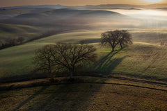 Wall mural Tuscan morning – fototapet med unikt motiv som skapar en inspirerande fondvägg