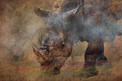 Wall mural Rino – fototapet med unikt motiv som skapar en inspirerande fondvägg