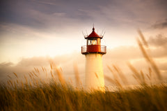 Wall mural Sylt Impression – fototapet med unikt motiv som skapar en inspirerande fondvägg