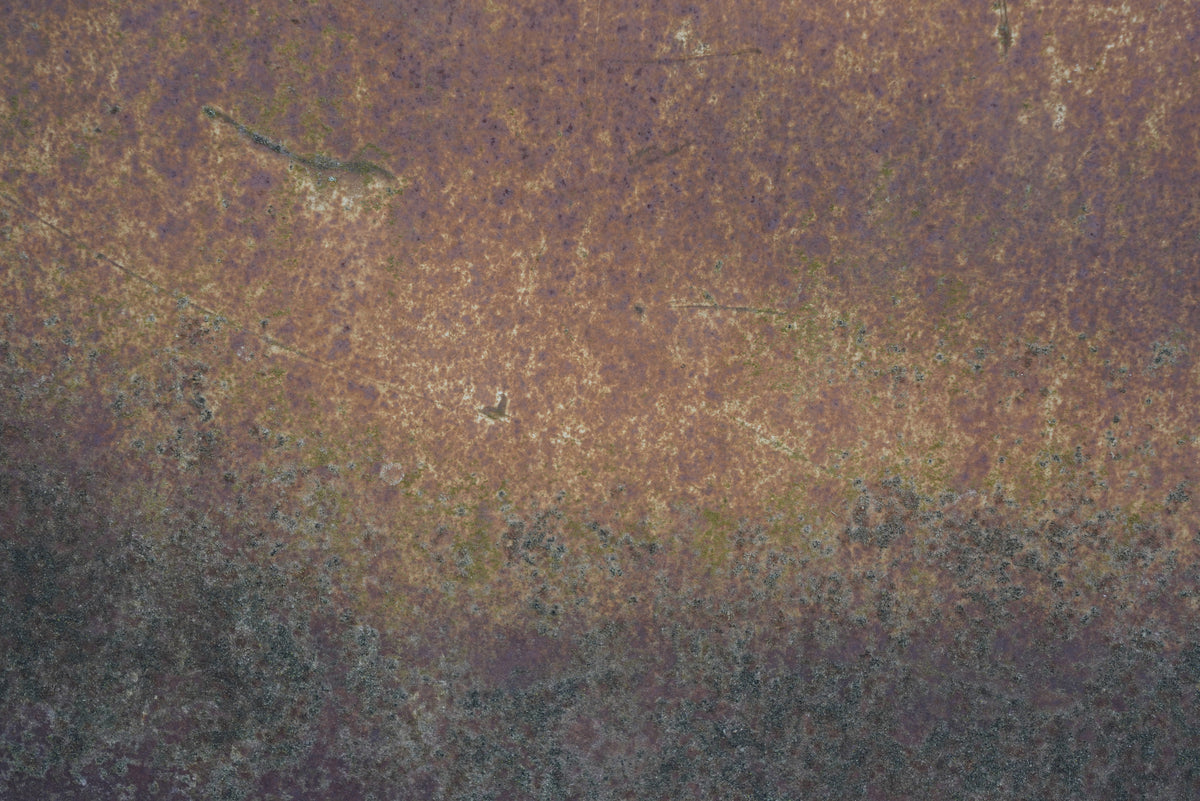Rust 19