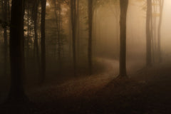 Wall mural Soft deepness – fototapet med unikt motiv som skapar en inspirerande fondvägg