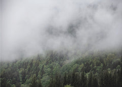 Somewhere In Norway 5