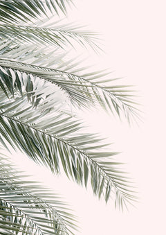 Wall mural Blush Palm Leaves – fototapet med unikt motiv som skapar en inspirerande fondvägg