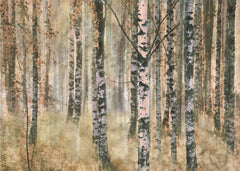 Autumn Birch Forest
