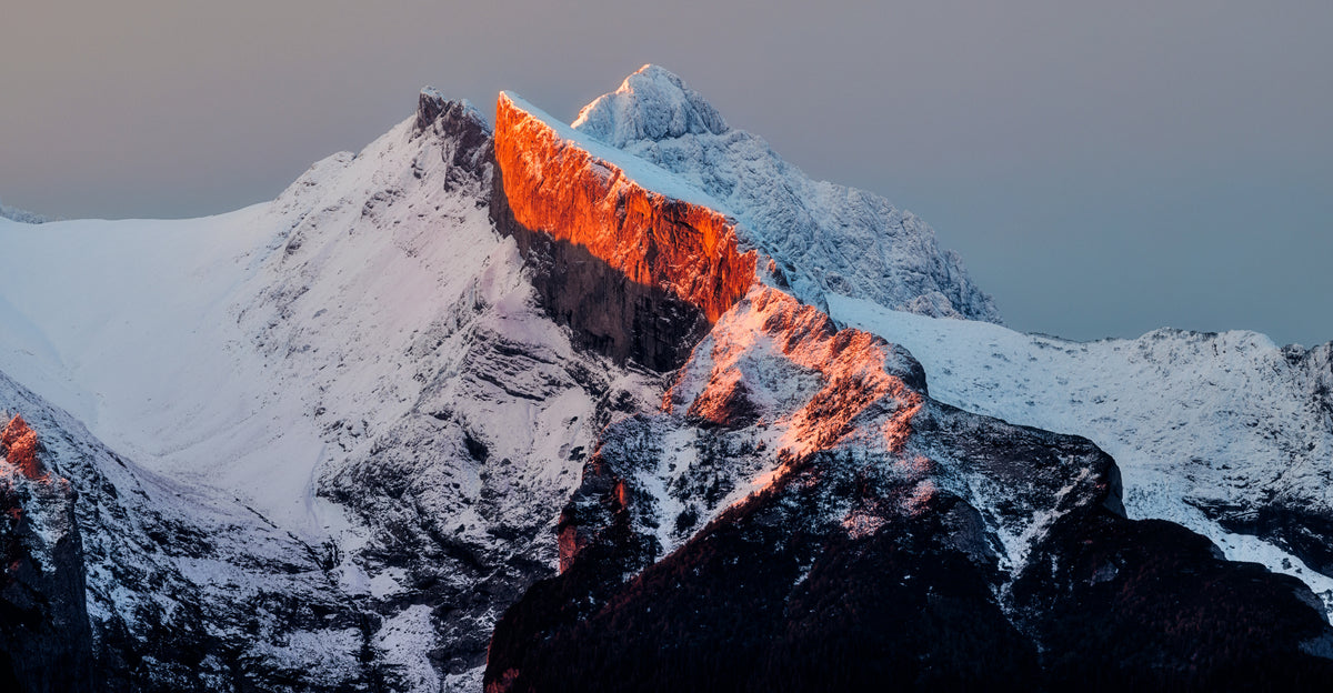 Oransje morgenplukk