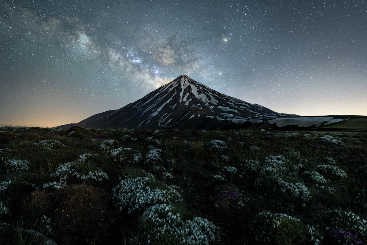 Dark horse og Damavand