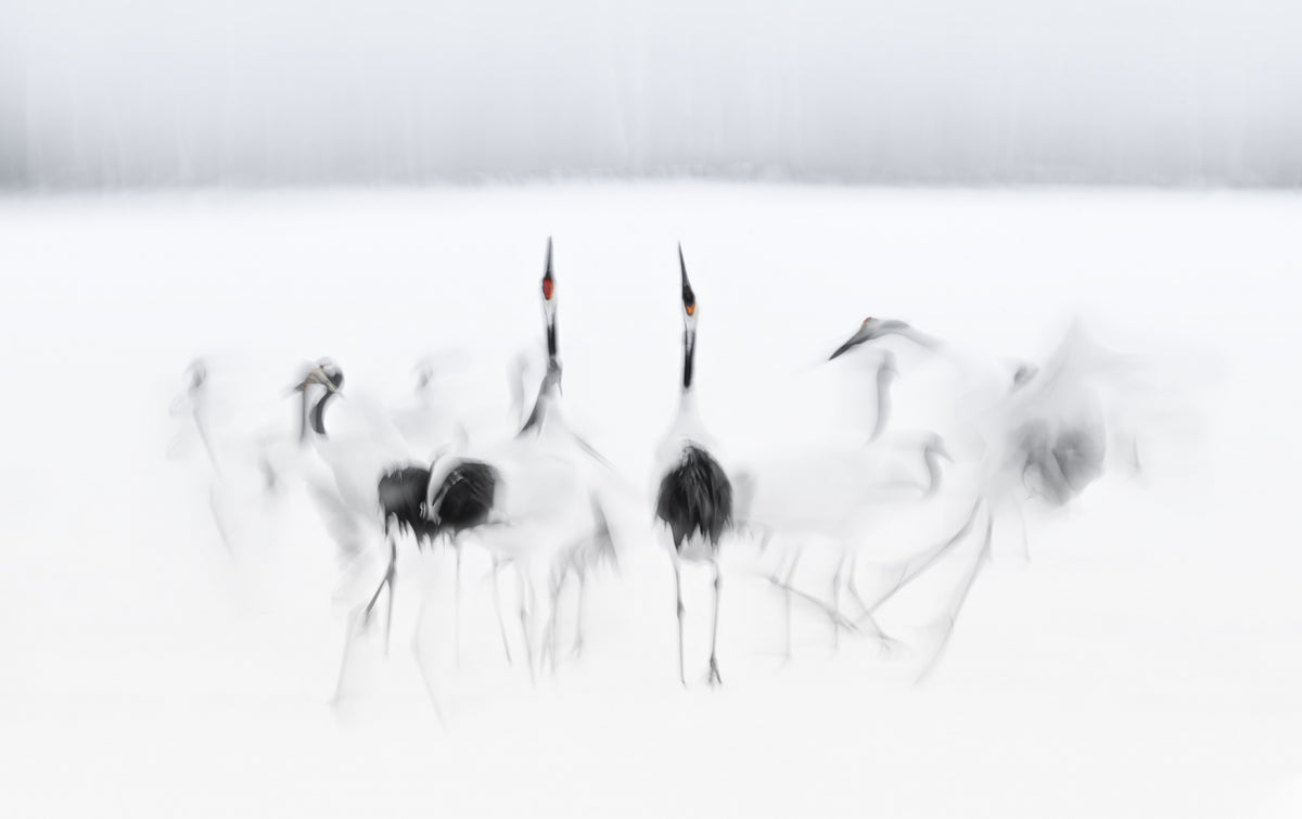 Kalligrafisk ballett