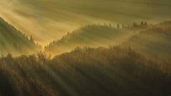 Wall mural Rays of morning – fototapet med unikt motiv som skapar en inspirerande fondvägg