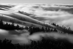 Wall mural Bathing in the fog – fototapet med unikt motiv som skapar en inspirerande fondvägg