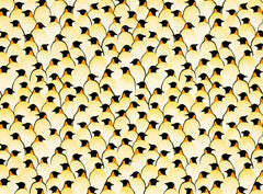 Wall mural Penguins – fototapet med unikt motiv som skapar en inspirerande fondvägg